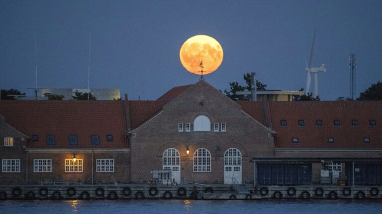 Güney Avrupalı turistler aşırı sıcaklardan kaçmak için Danimarka’ya akın ediyor
