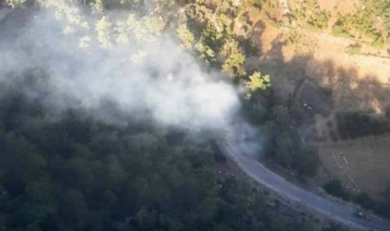 Muğla Gökova Körfezi'nde orman yangını – Son Dakika Türkiye Haberleri