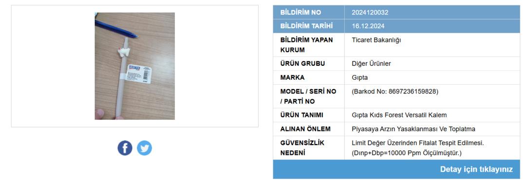 Ekran görüntüsü 2024-12-18 082924