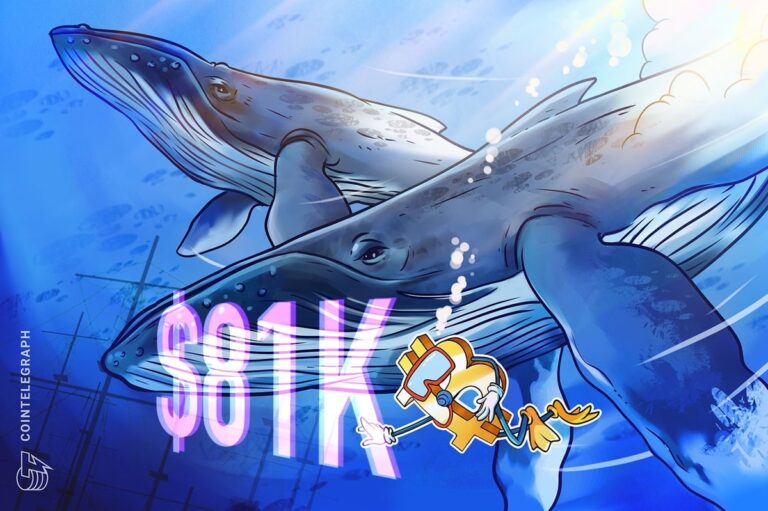 Bitcoin balinalarının birikim eğilimi 2020 dönemi yükseliş sürecine benziyor