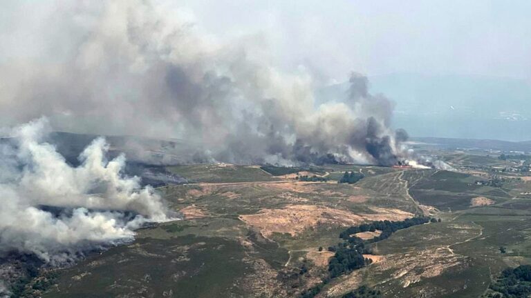 Güney Avrupa’da orman yangınları: Ölü sayısı artıyor