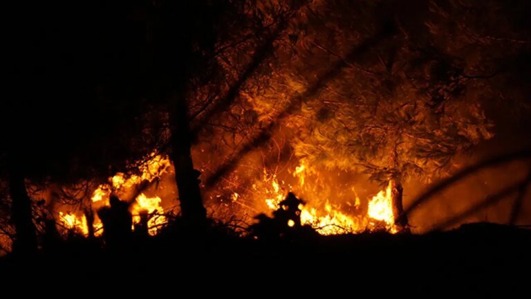6 ilde orman yangınları sürüyor… İşte an an son durum! – Son Dakika Türkiye Haberleri