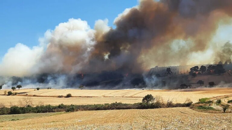 Çanakkale’de orman yangını: Havadan müdahale başladı – Son Dakika Türkiye Haberleri